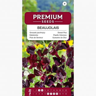 Groszek pachnący Beaujolais