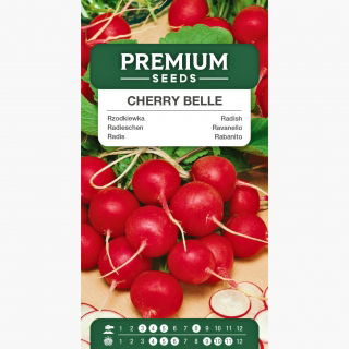 Rzodkiewka Cherry Belle