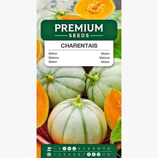 Melon Charentais - cukrowy