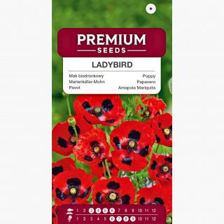 Mak biedronkowy Ladybird