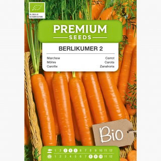 BIO Marchew Berlikumer - Certyfikowane nasiona ekologiczne