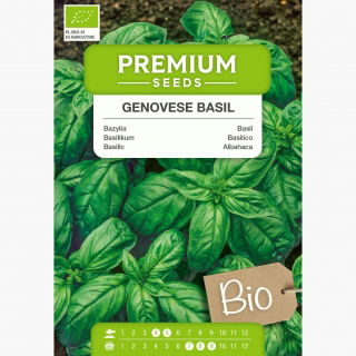 BIO Bazylia Italiano Classico - Certyfikowane nasiona ekologiczne