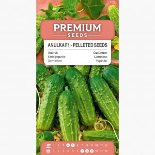 Ogórek Anulka - gruntowy, korniszon - NASIONA OTOCZKOWANE