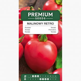 Pomidor Malinowy Retro - gruntowy, malinowy, bez żebrowania