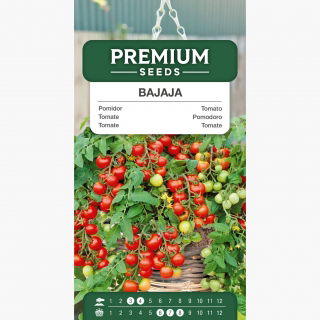 Pomidor Bajaja - niski, balkonowy, typ cherry, o przewieszających się pędach