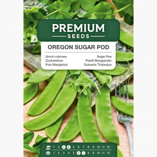 Groszek cukrowy Oregon Sugar Pod