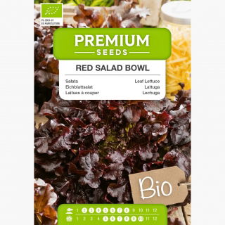 BIO Sałata liściowa Red Salad Bowl - Certyfikowane nasiona ekologiczne