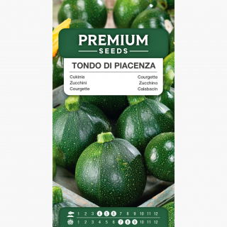Cukinia Tondo di Piacenza - wczesna, plenna