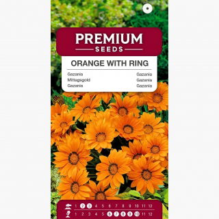Gazania Orange With Ring