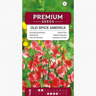 Groszek pachnący Old Spice America