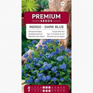 Niezapominajka Indigo - ciemnoniebieska