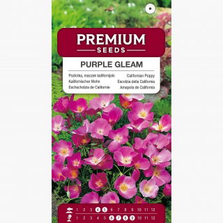 Pozłotka, maczek kalifornijski, eszolcja Purple Gleam