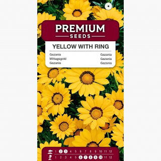 Gazania Yellow with ring