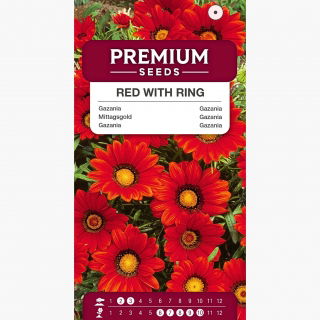 Gazania Red with ring