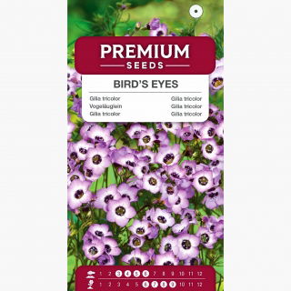 Gilia tricolor Bird’s eyes