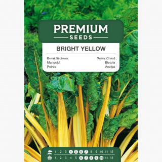 Burak liściowy Bright Yellow
