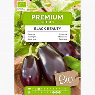 BIO Bakłażan Black Beauty