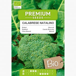BIO Brokuł Calabrese Natalino