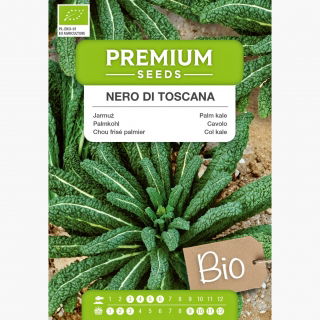 BIO Jarmuż Nero di Toscana