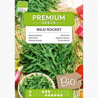 BIO Rukola wieloletnia