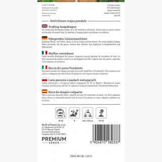 Lwia paszcza o pędach zwisających