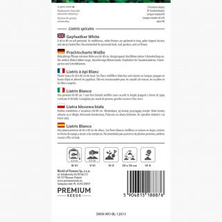 Liatra kłosowa biała