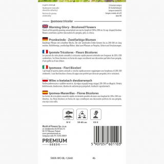 Wilec pnący o kwiatach dwubarwnych