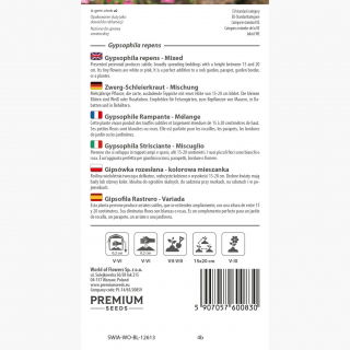 Gipsówka rozesłana - kolorowa mieszanka