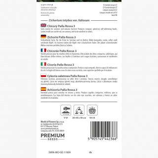 Cykoria sałatowa Palla Rossa 3