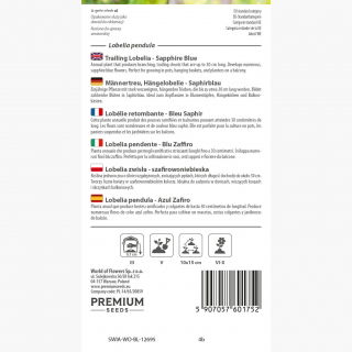 Lobelia zwisła szafirowoniebieska