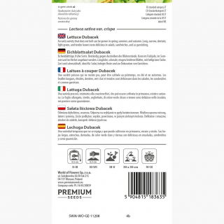 Sałata Dubacek - dębolistna - zielona i smaczna