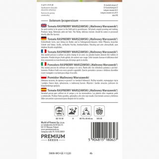 Pomidor Malinowy Warszawski - gruntowy