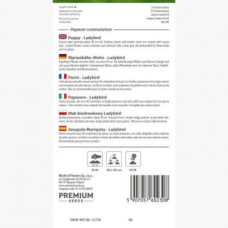 Mak biedronkowy Ladybird