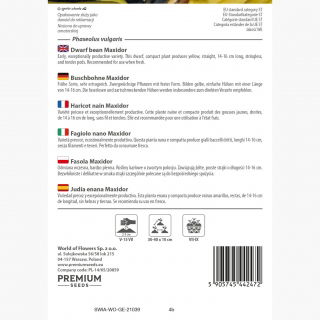 Fasola Maxidor - szparagowa, żółta, smaczna i bezwłóknista