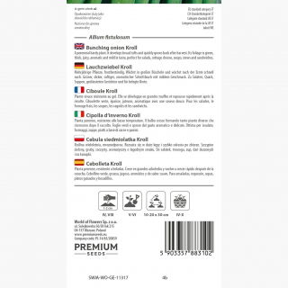 Cebula siedmiolatka Kroll - zielony, soczysty i łagodny szczypior