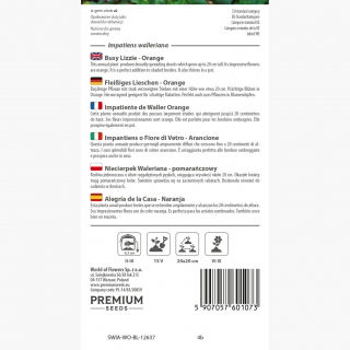 Niecierpek Waleriana - pomarańczowy