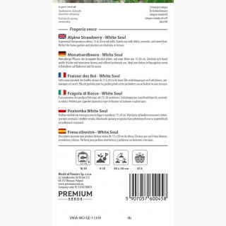 Poziomka White Soul - biała, bardzo aromatyczna