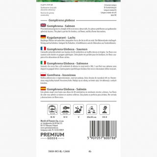 Gomfrena - łososiowa, doskonała na suche bukiety