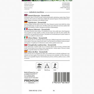 Smagliczka nadmorska - Snowcloth - intensywnie pachnąca