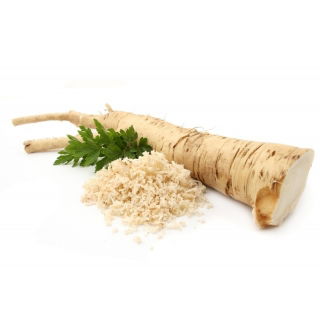 Chrzan Biały - ostry - GIGA paczka! - 50 szt.