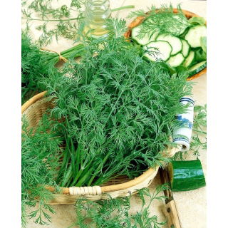 Koper ogrodowy Krezus - duże opakowanie - 500 gram