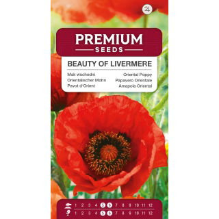 Mak wschodni Beauty of Livermere - czerwony, strzępiony