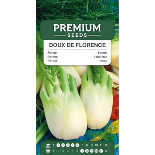 Fenkuł, Koper włoski Doux de Florence - dwuletni