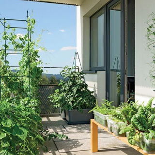 Podpora stożkowa do roślin - Floo Supports - 35 x 90 cm