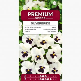 Bratek wielkokwiatowy Silverbride - biało-czarny