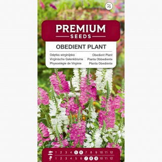 Odętka wirginijska - mieszanka