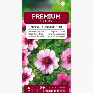 Pięciornik Nepalski