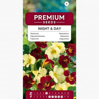 Nasturcja niska Night & Day