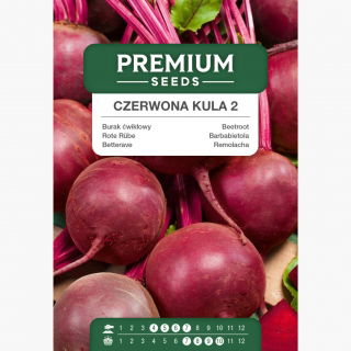 Burak ćwikłowy Czerwona Kula