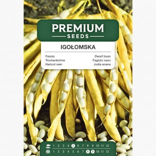 Fasola Igołomska - na suche nasiona karłowa